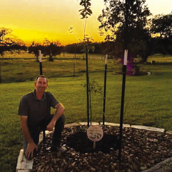 Jason McBroom with the Monterrey Oak planted in his front yard.