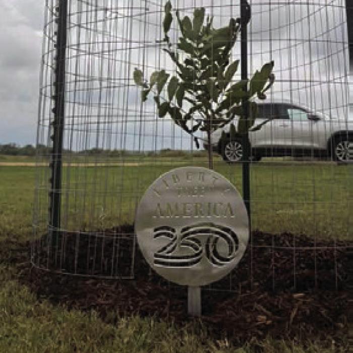 Keelah Morrison planted a Pecan tree.