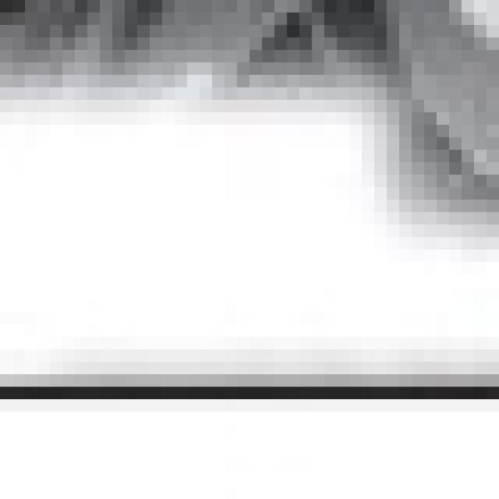 Alt Text for Image