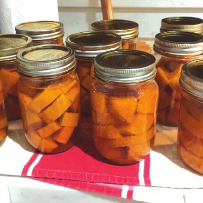 Successfully canned pints of sweet potatoes.