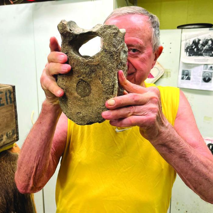 Heinsohn’s Amazing Finds