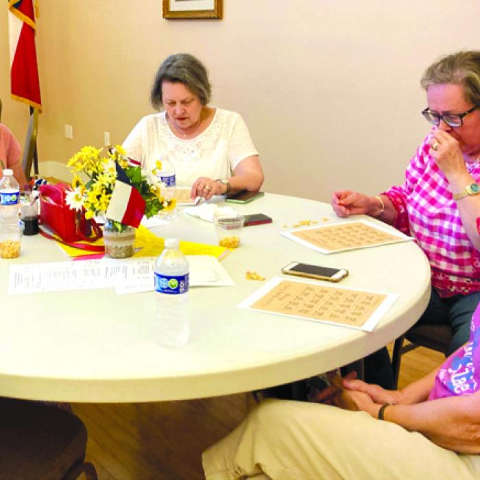 Czech Heritage Society Holds Annual Picnic