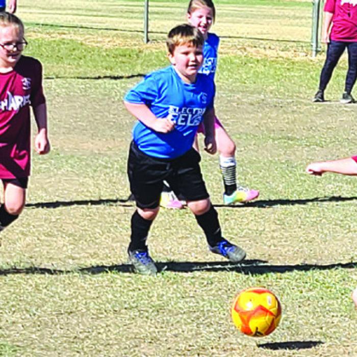The Optimist Club sponsors fall and spring soccer leagues.