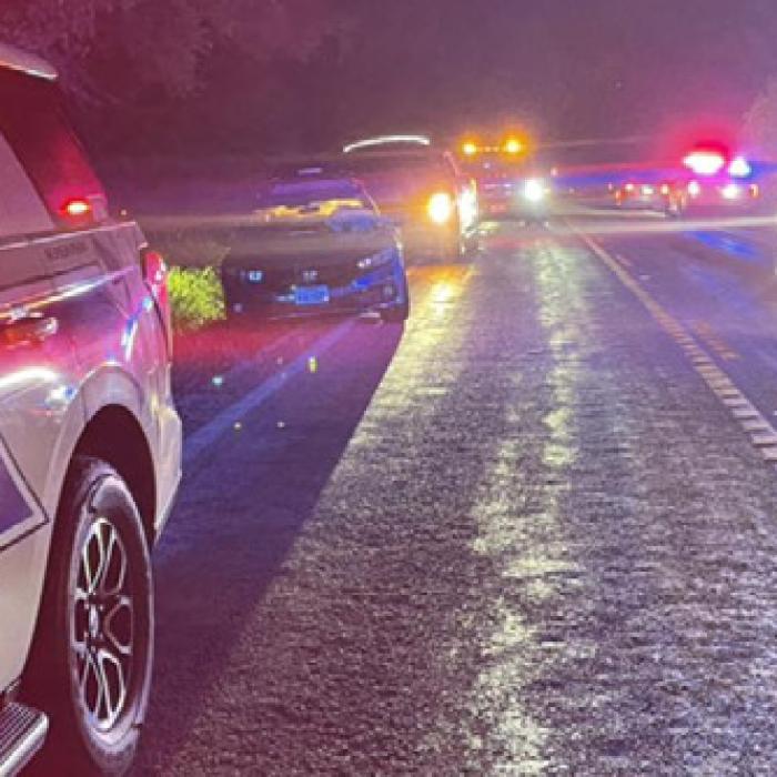 A wreck early Saturday morning in Muldoon left one person died, another was injured and two people in jail. Photo courtesy of Fayette County Sheriff’s Office