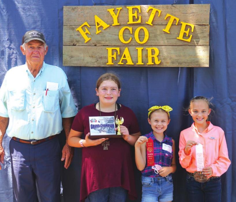 2020 Fayette County Fair Commercial Heifer Show and Sale