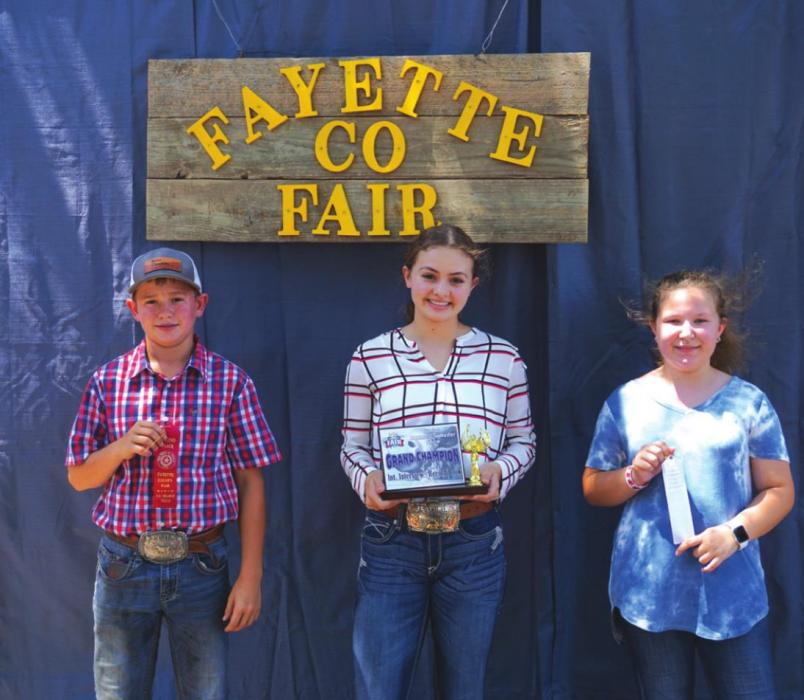 2020 Fayette County Fair Commercial Heifer Show and Sale