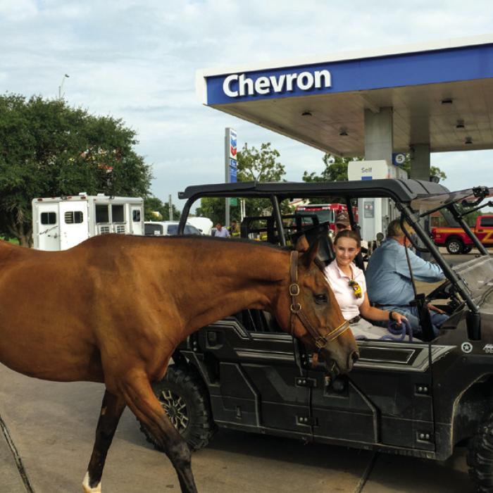 Troubled Motorist and Her Horse Get Help in La Grange