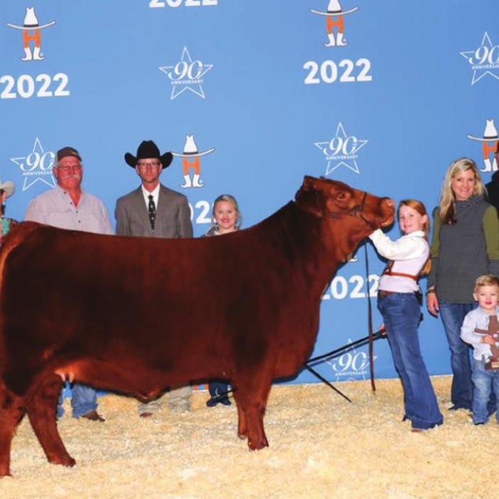 Girl With Local Connections Wins Livestock “Triple Crown”