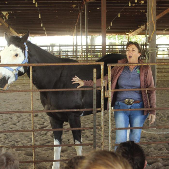 Tina Kallus talks equine safety