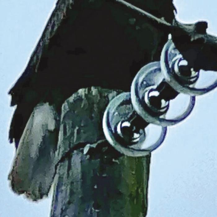 Fayetteville residents Cynthia and Gary Cruz spotted this bald eagle on Monday, March 27 at 7:53 a.m. on Leslie Road.