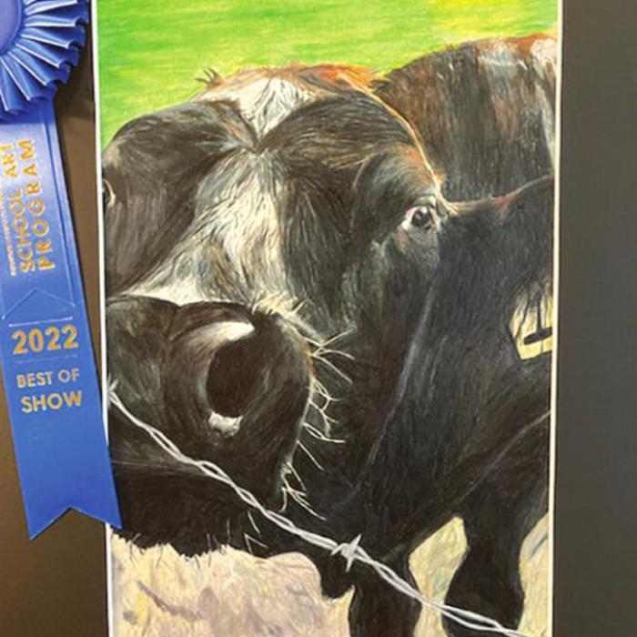 La Grange Western Art Winners Selected