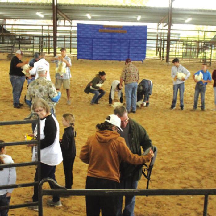 The judging of the broiler hens drew a big crowd to the show ring Friday as parent, grandparents and friends helped exhibitors showcase their pen of three chickens each. Photos by Jeff Wick