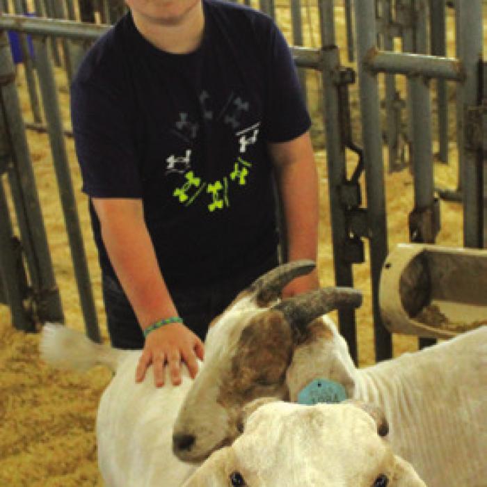 Kolby Walker of La Grange gets his goats ready for the show.