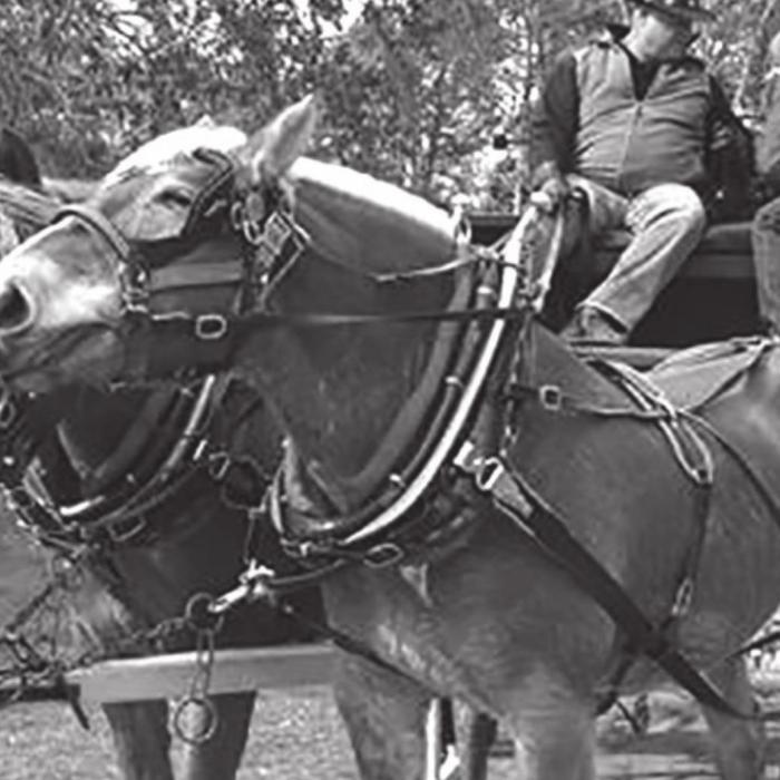 Folk Life Christmas at Winedale Dec. 11
