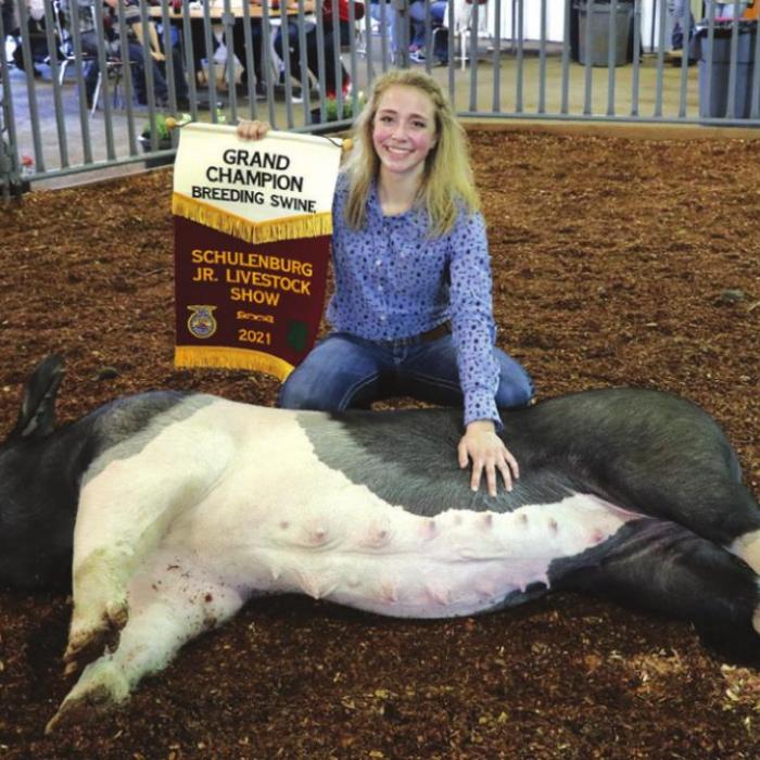 Livestock Showcase