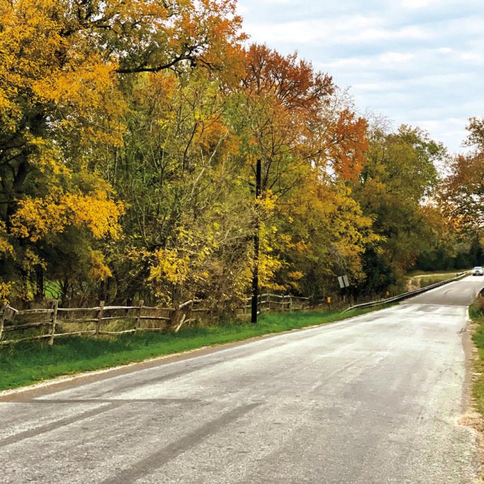 Fall Foliage: Some Thoughts and Tips
