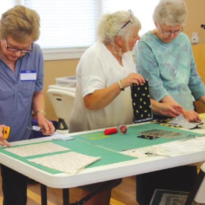 Colorado Valley Quilt Guild Hosts Janellea Macbeth, Sit and Stitch Works