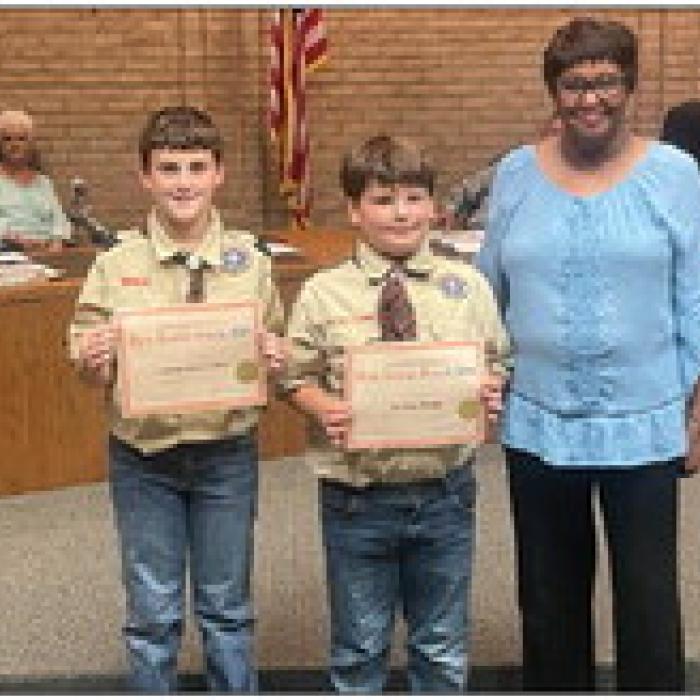 Scouts Witness a Wide - Ranging Council Meeting