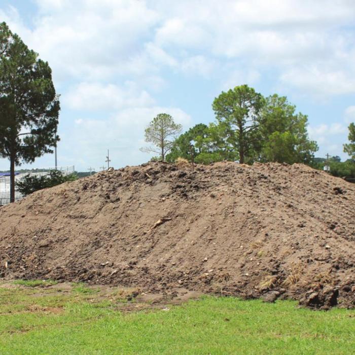 From Old Field Comes New Conditioning Hill