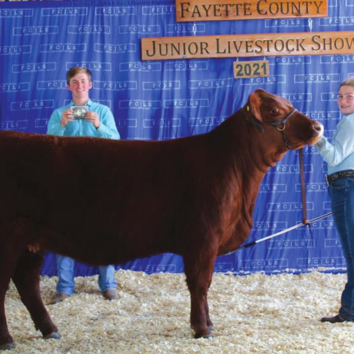 More Fayette Co. Junior Livestock Show Winners