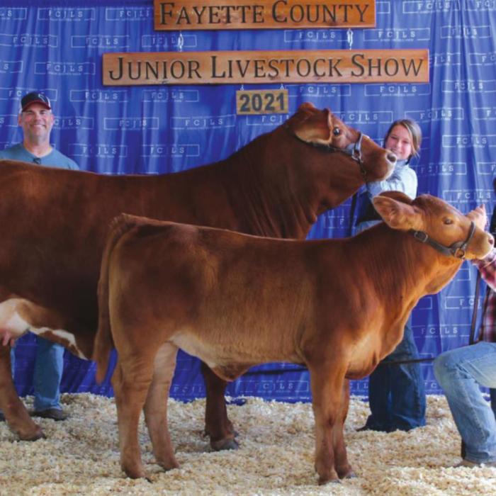 More Fayette Co. Junior Livestock Show Winners