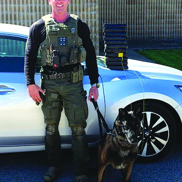 Kolt Finds Half Million in Cocaine