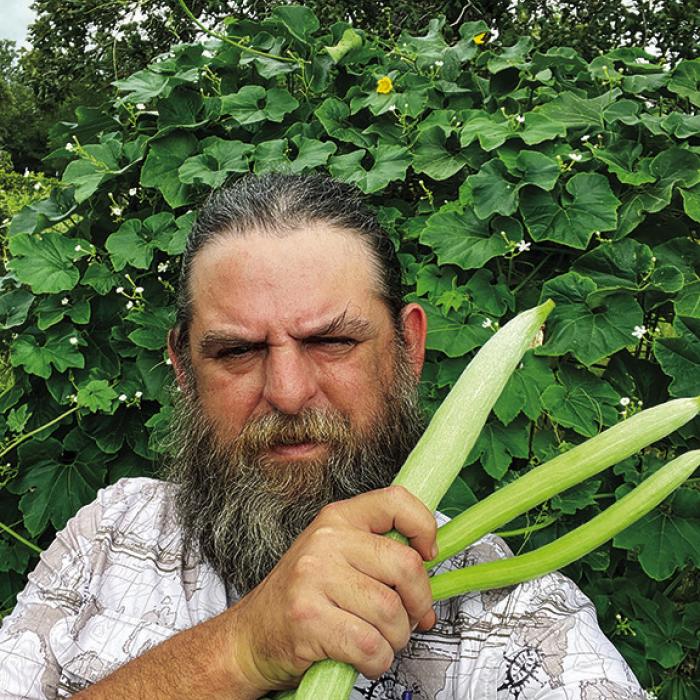 I picked these snake beans at a small size, about 12-18 inches. They taste the best at this stage.