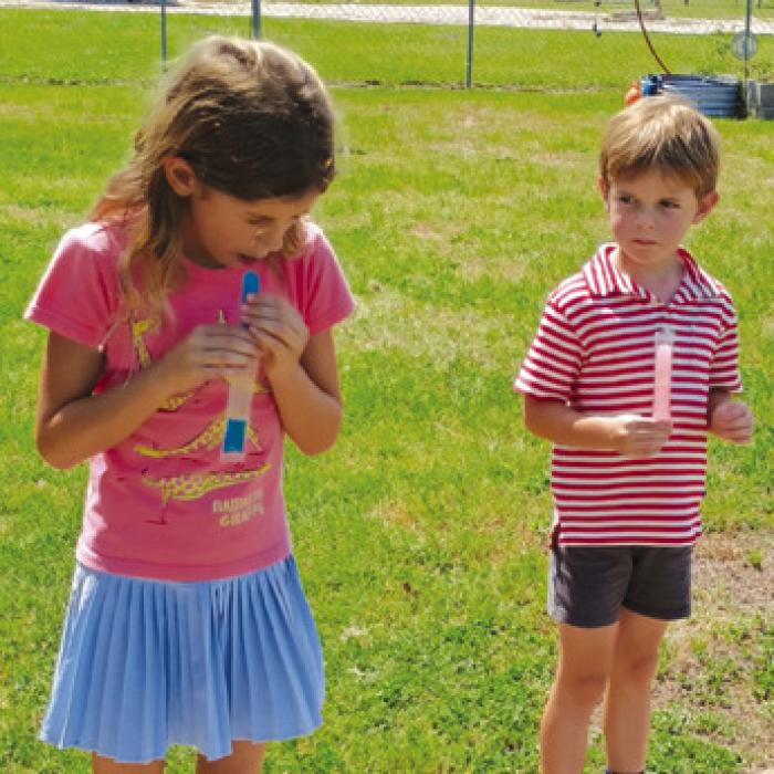 The Chlumsky grandkids, Olivia and Marcus enjoying their cool treats in the country.