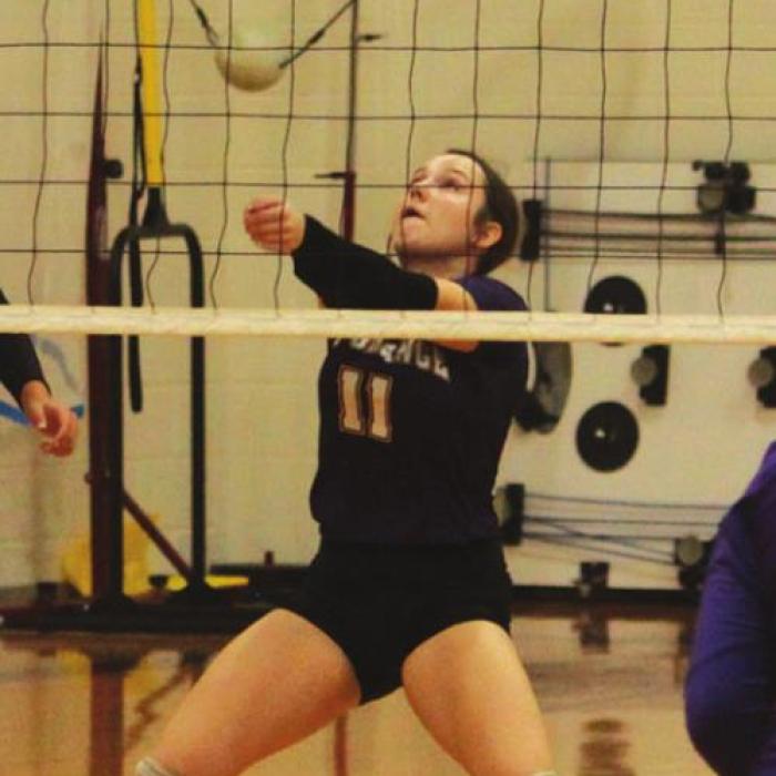 Emma Coltrain led La Grange in digs Friday.
