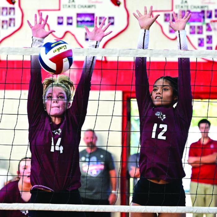 Tourney Wins Abound; RT-C Shines in Schulenburg