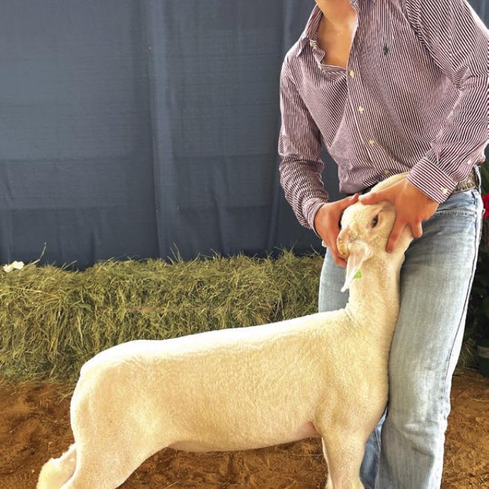 LAMB SHOW • RESERVE CHAMPION SOUTHDOWN Colton Hutchins