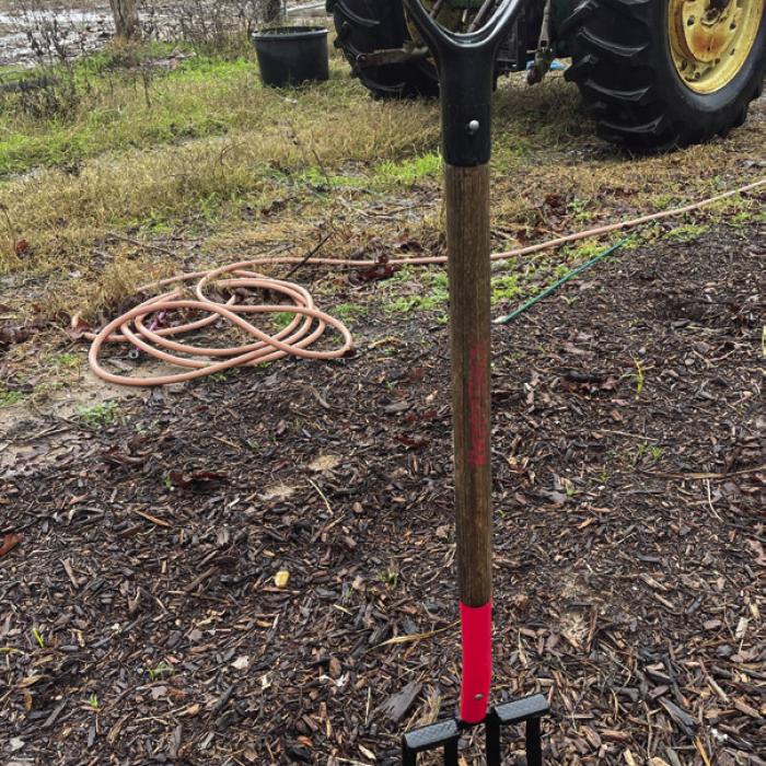 What to Do When Soil Gets Too Wet