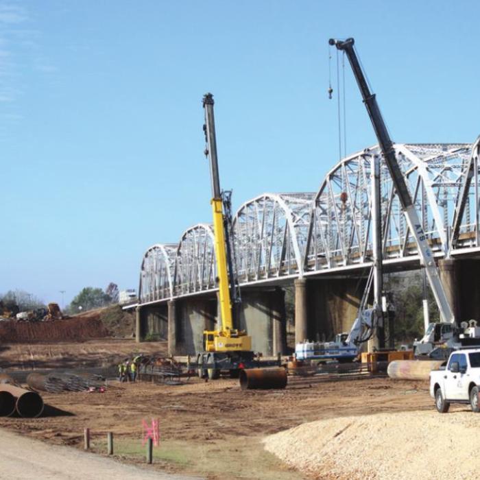 Amidst Bridge Construction, Pieces of Nature Are Saved