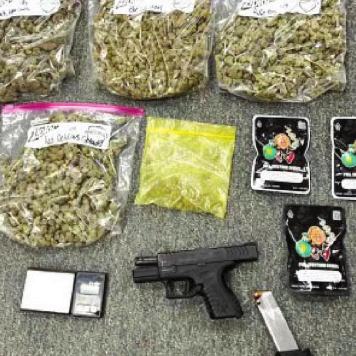Traffic Stop Leads to Drug Arrest