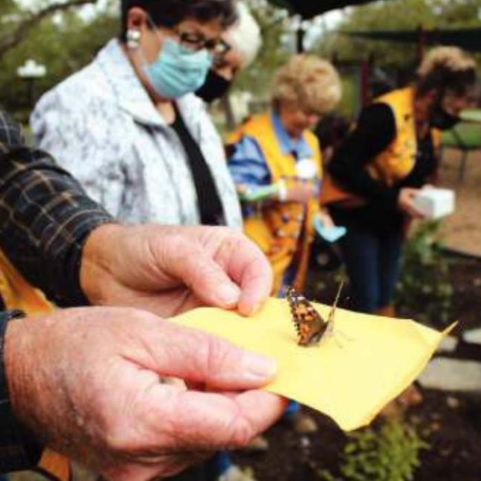 Ken Morris waits for his butterfly to take flight.