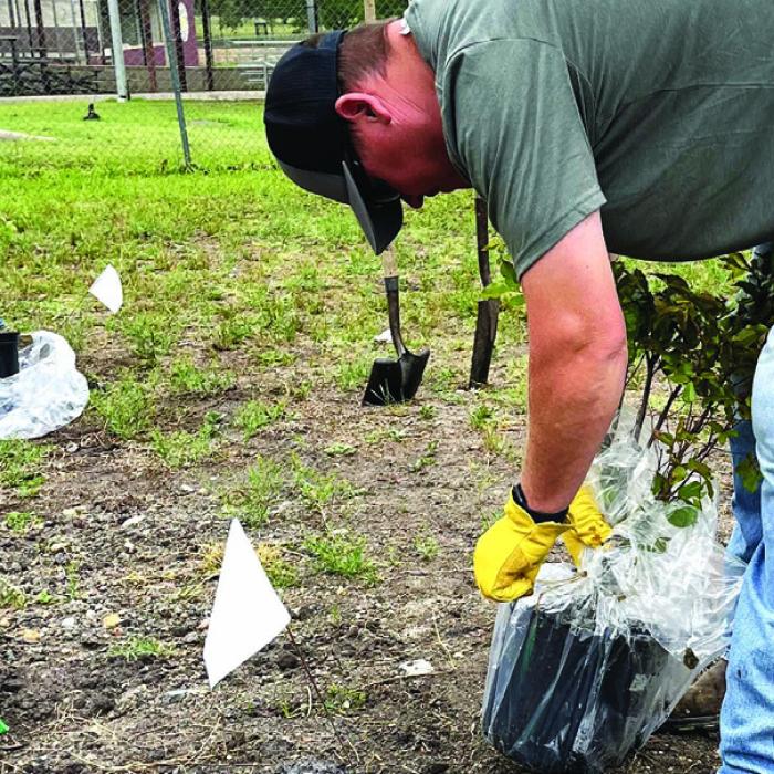 Among the LCRA Projects worked on last week were painting livestock pens at the Fayette County fairgrounds, left, top and bottom, and planting trees and painting light poles at McWhirter Park in Flatonia, right.