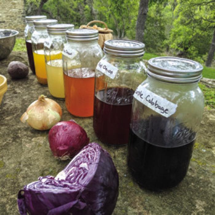 Historic egg-dying techniques included purple cabbage juice.