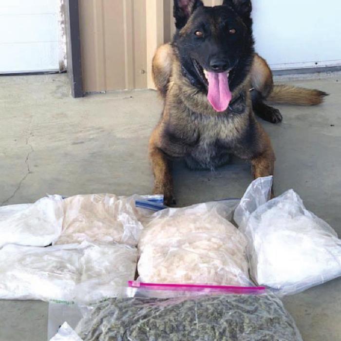 Fayette County K9 Kolt located six kilos of methamphetamines and one pound of hydro marijuana during a traffic stop Friday on I-10.