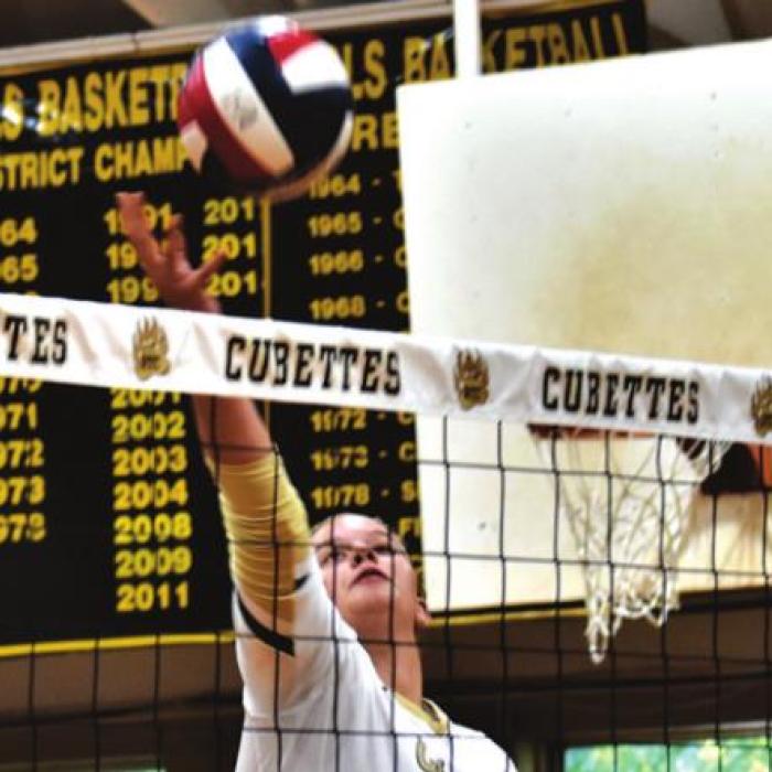 High School Volleyball Roundup