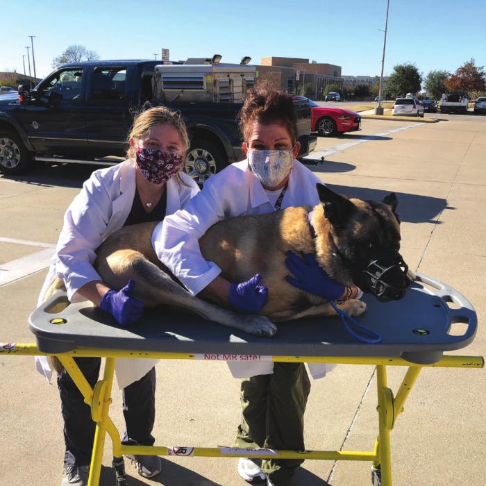 This photo is from earlier this month as Lobos was saying bye to his nurses and getting ready to go home after spending a week in Texas A&amp;M’s veterinary hospital receiving cancer treatments.