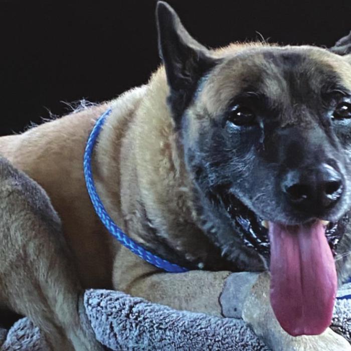 Lobos was all smiles after a recent cancer treatment.