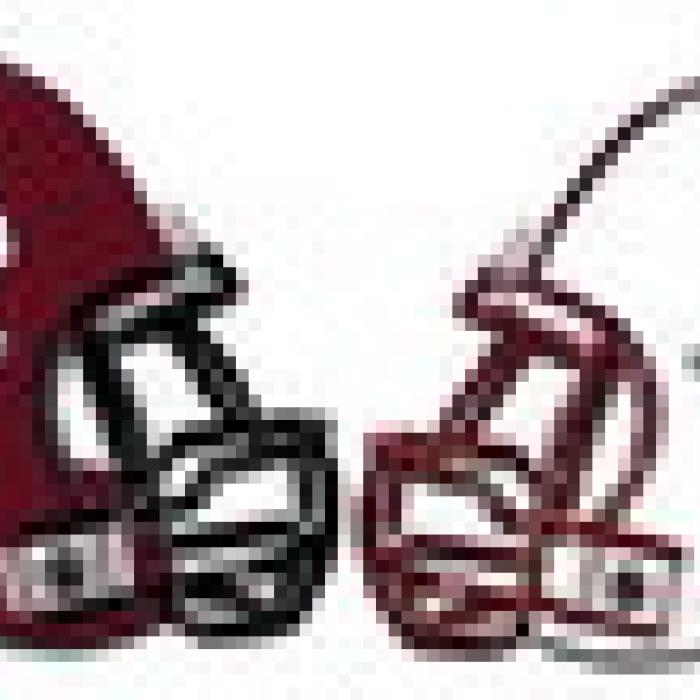Flatonia vs. Hearne