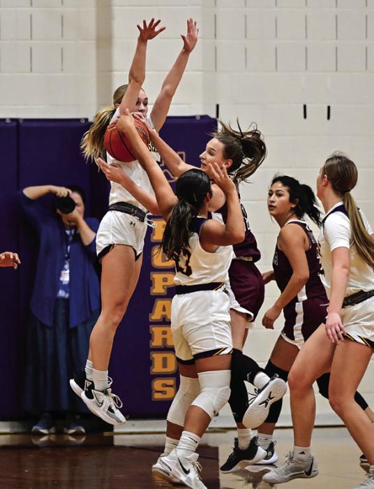 La Grange’s Kylie Trlicek jumps high on defense Friday. Photo by Stephanie Steinhauser