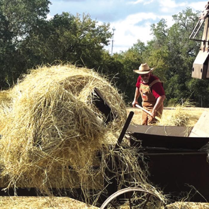 This 1939 hay baling press was in action Saturday for folks to see how hay used to be baled.