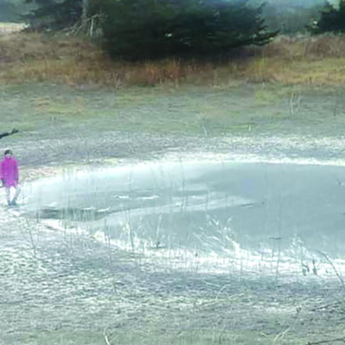 Craig Moreau sent us this photo of his kids checking out the frozen-over pond at their place near Oldenburg. He called the picture “The Moreau skating rink.”