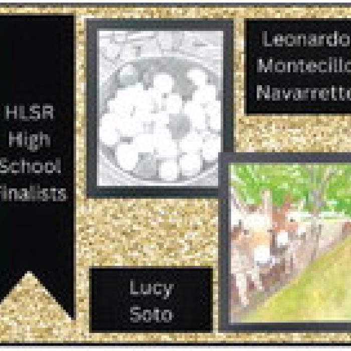 Round Top-Carmine ISD Houston Rodeo Western Art Winners