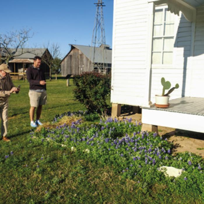 Bluebonnets at the Czech Center in La Grange.