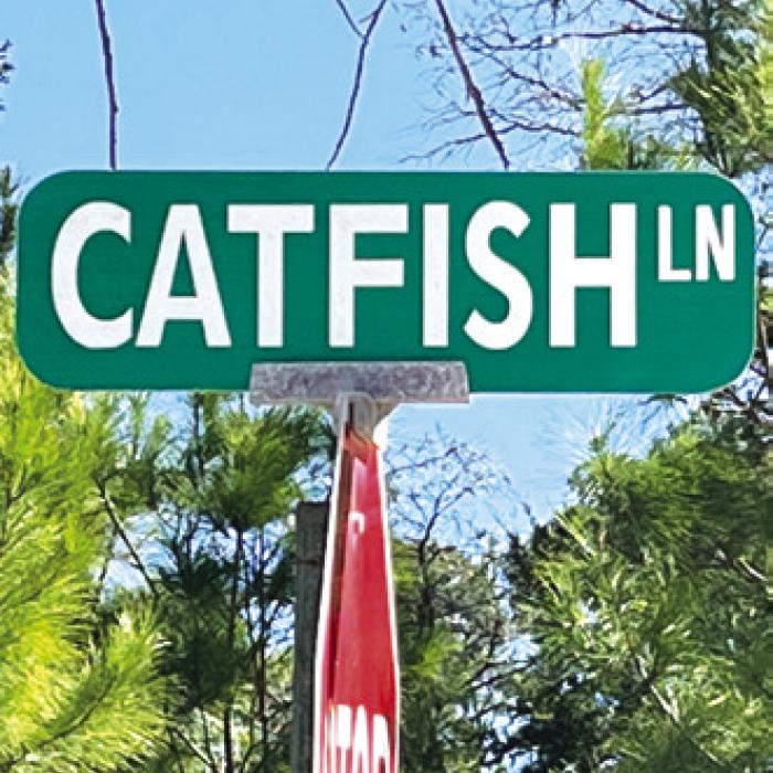 A Catfish Lane road sign near Warda.