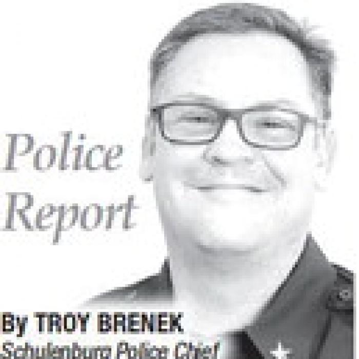 SPD Finds Bison Heads in Alley