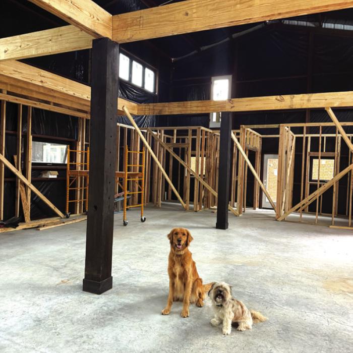 Bozzy and Clementine inside the spa in development directly behind the shop, Sown With Seed. Owners are Morgan Zator and Todd Campbell.
